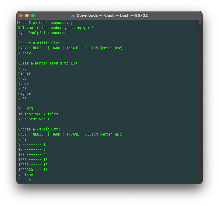 screenshot of number guessing game